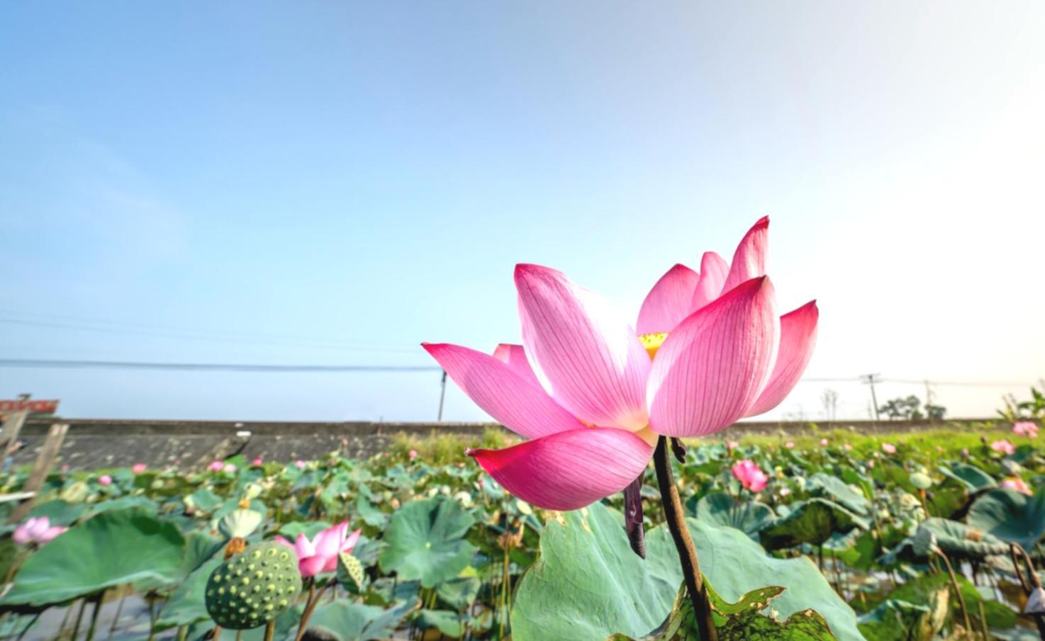 Elegant flower arrangement showcase demonstrating professional quality